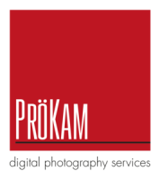 Prokamra limited