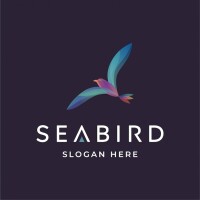 Seabird travel blog
