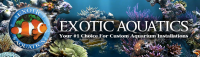 Exotic Aquatics