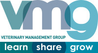 Vmg management consultants