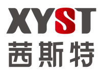 Xyst limited