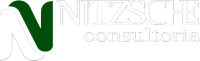Nitzsche consultoria
