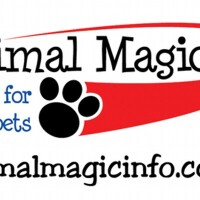 Animal magic pet care (gloucester) ltd