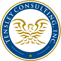 Servillo Consulting, Inc.