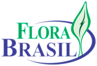 Viveiro flora brasil