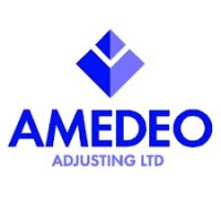Amedeo adjusting limited