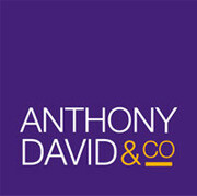 Anthony david & co
