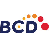 Bcd consulting limited