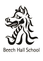 Beech hall school ltd