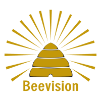 Beevision productions