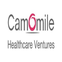 Camomile consulting limited