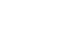 Metlife stadium