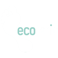 Ecoteric systems limited