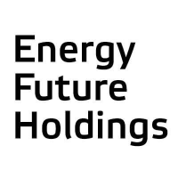 Energy future holdings