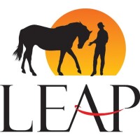 Leap horse limited