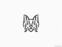 Lynx design