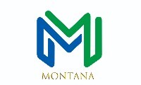 Montana trading ltd