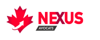 Nexus legal services
