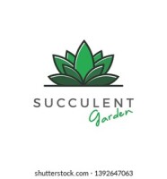Romeo & succulent