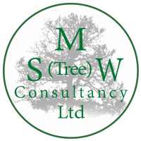 Smw (tree) consultancy ltd