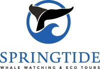 Springtide whale watching & eco tours