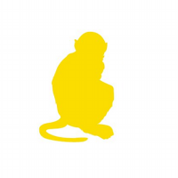 Yellow monkey marketing limited