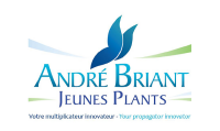 André briant jeunes plants