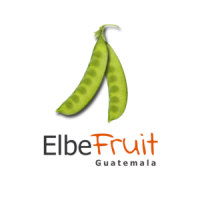 Elbe fruits