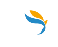 Bird intérim