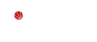 Norges basketballforbund