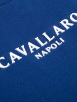 Cavallaro avocat