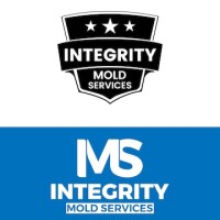 360 mold services