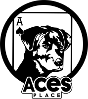 Aces place