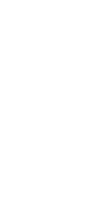 Big tree publishing