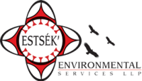 Estsek' environmental services llp