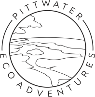 Pittwater eco adventures