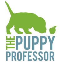 The puppy professors