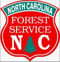 Nc forest service