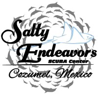 Salty endeavors scuba center