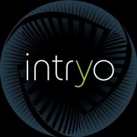 Intryo. servicios de software