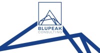 Blupeak consulting