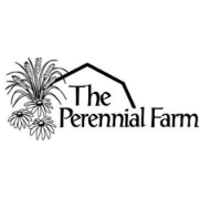 The Perennial Farm