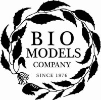 Biomodels, llc