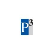 Professional project partners, inc. (p3)
