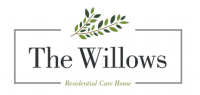 The willows nursing home