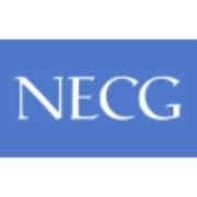The new england consulting group