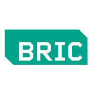 Bric (arts & media in brooklyn)