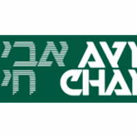 The avi chai foundation