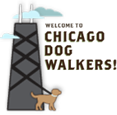 Chicago dog walkers