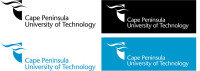 Cape peninsula university of technology